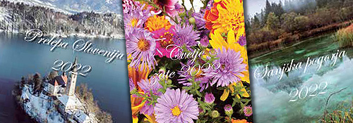 Koledarji in rokovniki