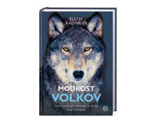 Modrost volkov
