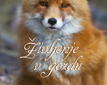 Koledar Kuhinja naših babic