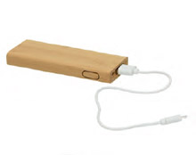 Polnilnik Power Bank EKO